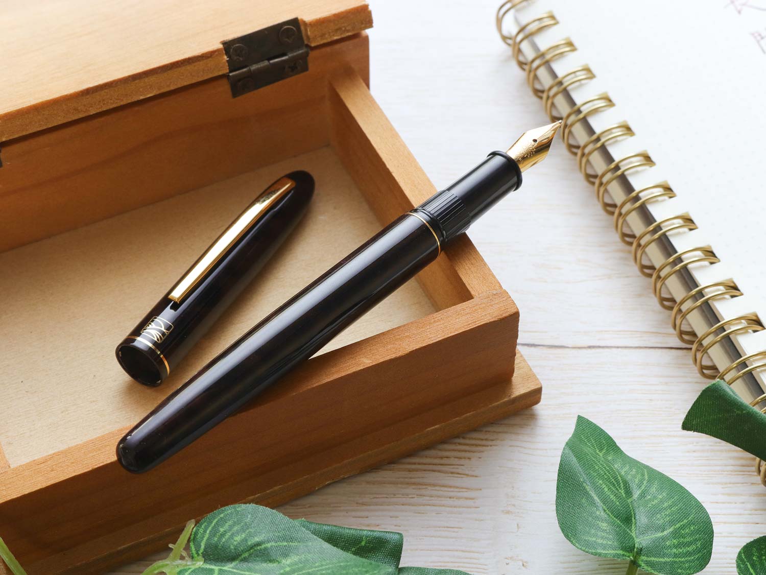 Kuretake Nodoka - Kurogasumi (Black) - Wancherpen International