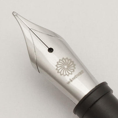 Size #6 Nib - Stainless Steel - Wancherpen International