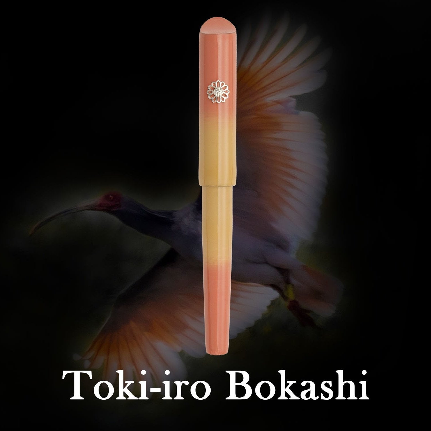 DPS - Noto Fountain Pen - Pink - Wancherpen International