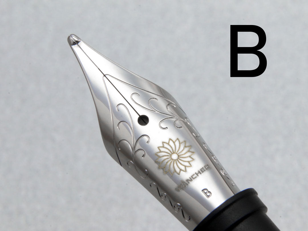 Size #6 Nib - Stainless Steel - Wancherpen International