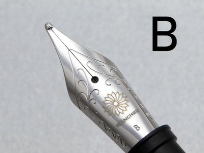 Size #6 Nib - Stainless Steel - Wancherpen International